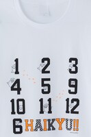 烏野高校モデル