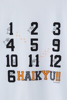 烏野高校モデル