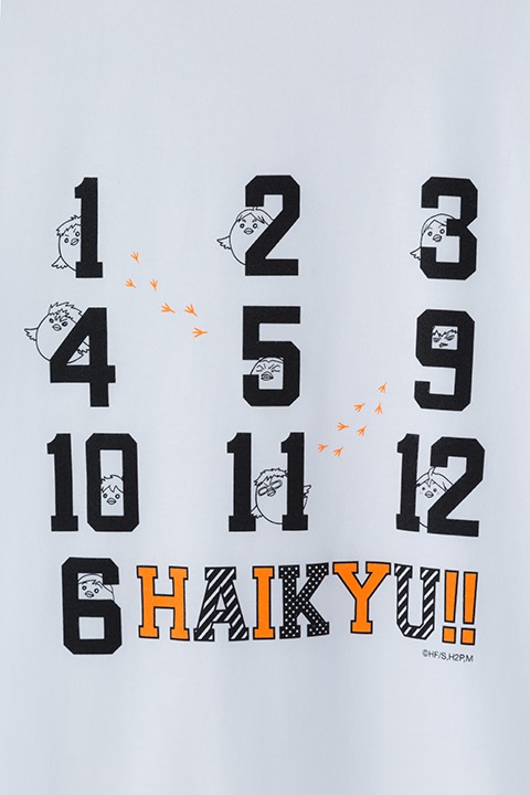 烏野高校モデル