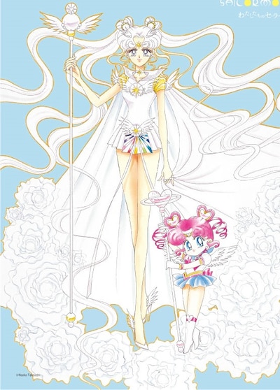 「わたしたちの美少女戦士セーラームーン」表紙