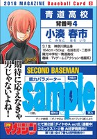 春市の野球カード裏面。