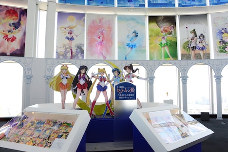 エントランス中央にはさまざまなグッズが並べられた「イメージの泉」と、セーラー5戦士のパネルが。なおこのエリアは撮影可能だ。