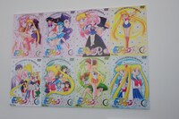 エリア1「セーラームーンクロニクル～愛と戦いの系譜」より、アニメ「美少女戦士セーラームーンR」のDVDジャケット。