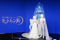 ネオ・クイーン・セレニティのドレスと、キング・エンディミオンのタキシード。後ろにはクリスタル・トーキョーが。