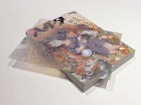 ハルタVol.33には、一部書店で購入者に表紙絵のクリア下じきが付属する。