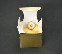 園内で裏メニューとして販売される「宝箱」。