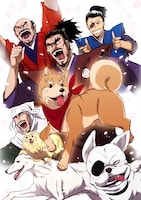 目黒川うな「織田シナモン信長」カラーカット