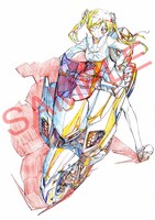 ソフマップのBlu-ray / DVD全6巻購入特典、布ポスター絵柄。