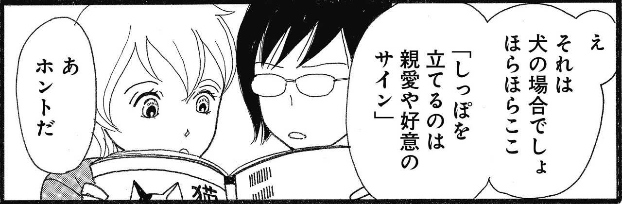 「はじめての猫」の1シーン。