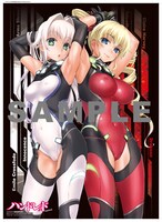 SASAYUKiがイラストを手がけた、付録の「ハイスクールD×D」ポスター。