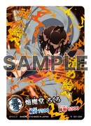 「双星の陰陽師 陰陽五行カードコレクション」の1枚。