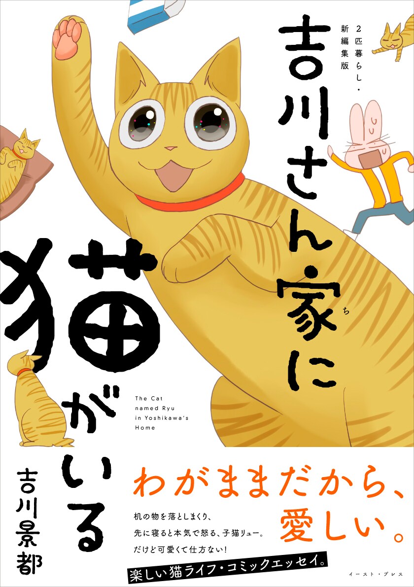吉川景都「2匹暮らし」新編集版＆オザキミカ「キミはな。」4巻、猫マンガ同発