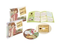 eyelis「crescendo」展開図