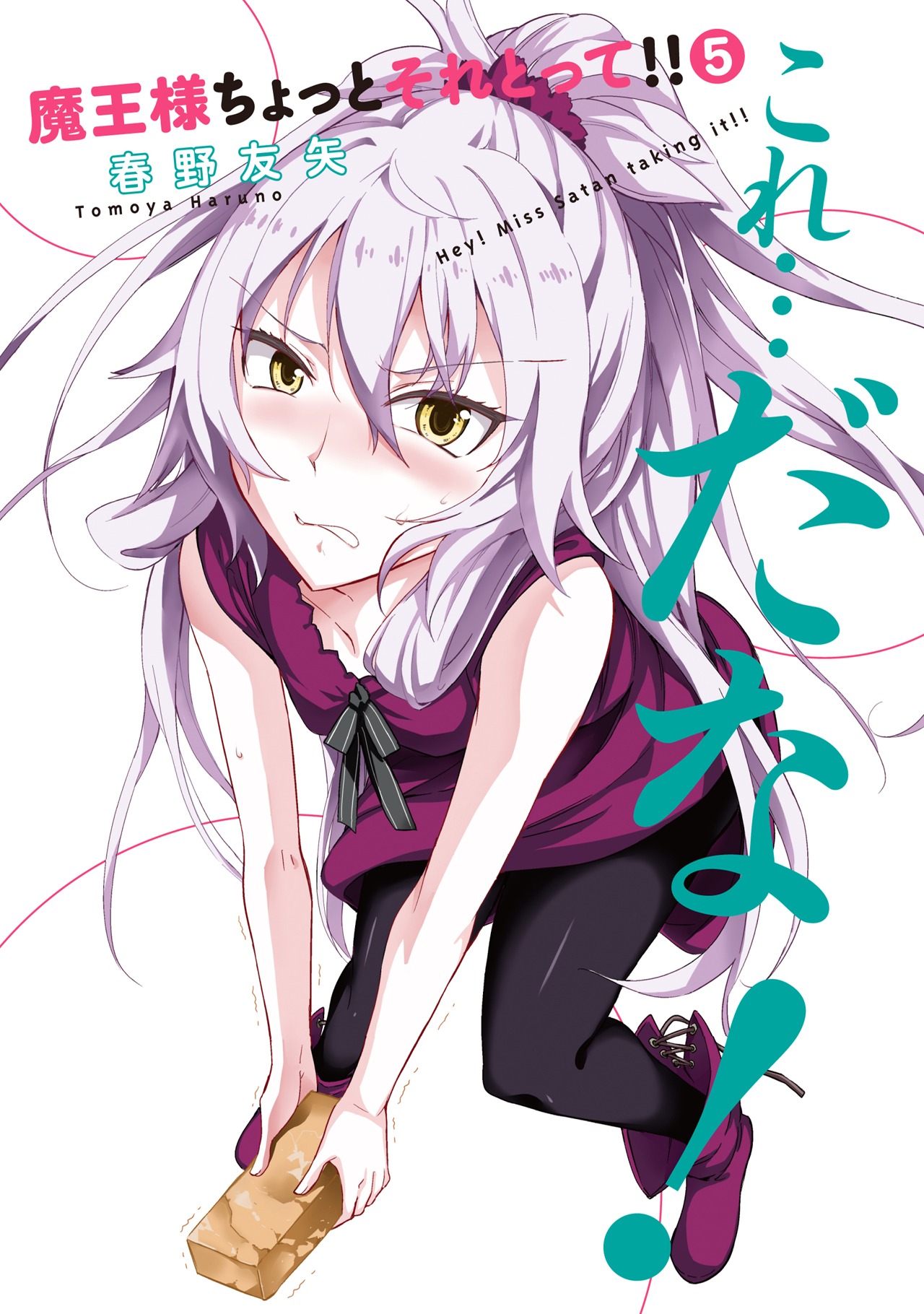「魔王様ちょっとそれとって!!」5巻