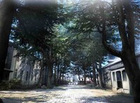 劇中の風景のイメージボード。