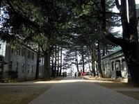 資料用に撮影されたあがたの森公園の写真。