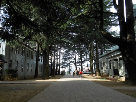 資料用に撮影されたあがたの森公園の写真。