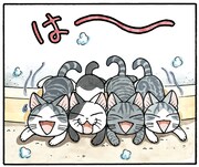 「チーズスイートホーム」のカット。