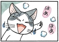 「チーズスイートホーム」のカット。