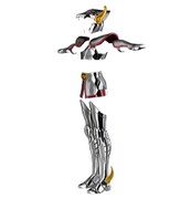 バーチャル聖衣のイメージ。