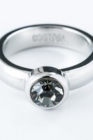 神威モデル リング