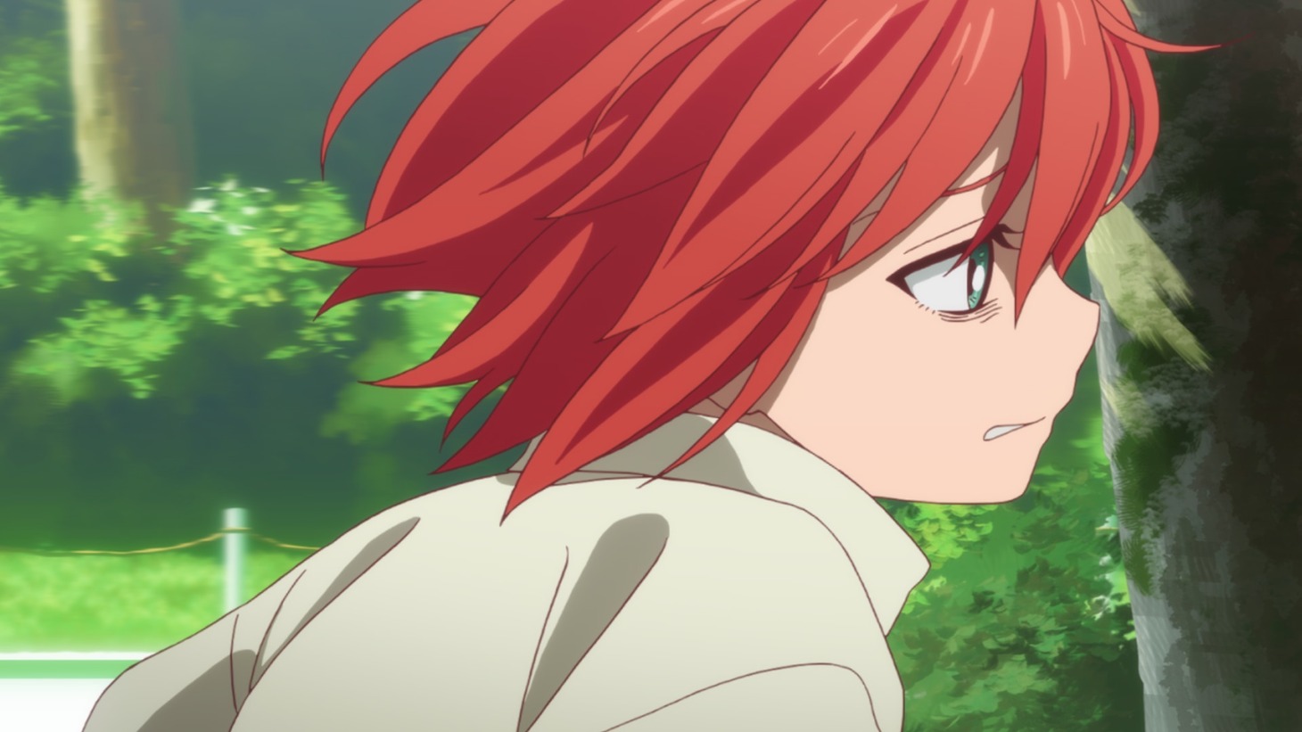 アニメ「魔法使いの嫁 星待つひと 前篇」場面カット