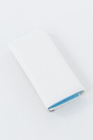 坂田銀時モデル