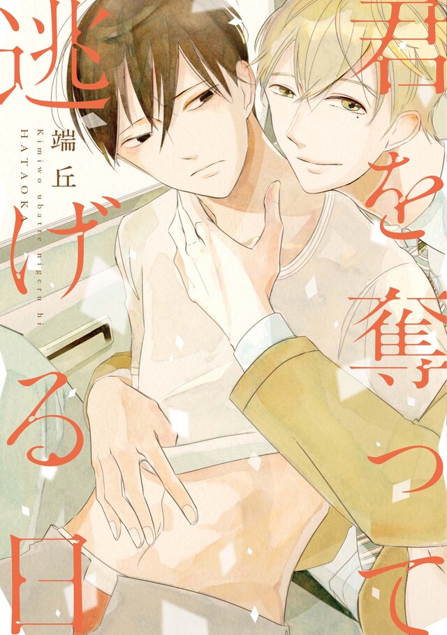 「君を奪って逃げる日」