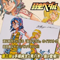 「『弱虫ペダル』キャンバスパネル 手嶋純太＆青八木一」