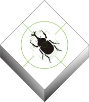 「昆虫採集 カブキング」のイメージ。