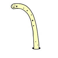 チンアナゴ長官