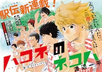 「ハコネのネコハ」