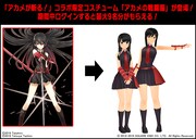 「アカメが斬る！」コラボ限定コスチューム