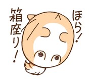 LINEスタンプ「ポヨポヨ観察日記」