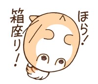 LINEスタンプ「ポヨポヨ観察日記」
