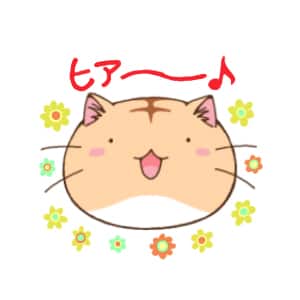 ポヨポヨ観察日記 Lineスタンプ化 まあるい猫のポヨや人間の絵柄も コミックナタリー ポヨポヨ観察日記 Lineスタンプ化 まあるい猫のポヨや人間の絵柄も コミックナタリー