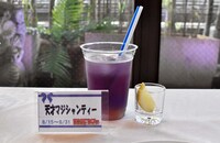 「天才マジシャンティー」