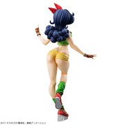 「ドラゴンボールギャルズ ランチ 黒髪Ver.」