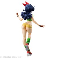 「ドラゴンボールギャルズ ランチ 黒髪Ver.」