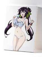 「IS〈インフィニット・ストラトス〉」の「直筆サイン入りキャンバスアート」。