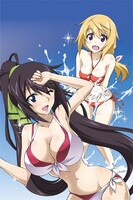 「ISサマーセット（福袋）」の大判マイクロファイバータオル。