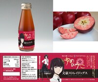 「ゆみひみこ」