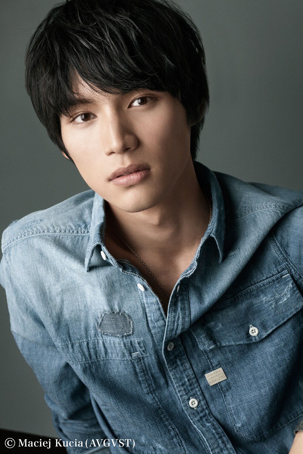 福士蒼汰が猫とともに日本各地を巡る、有川浩「旅猫リポート」映画化