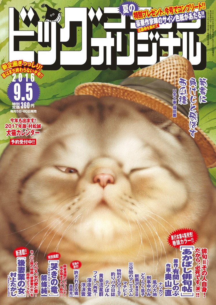 ビッグコミックオリジナル17号