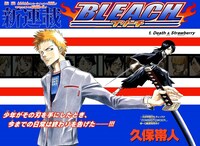 「BLEACH」第1話より。(c)久保帯人/集英社