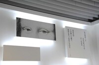 「王妃アントワネット、モナリザに逢う」の作中で描かれた「モナリザ」の目。