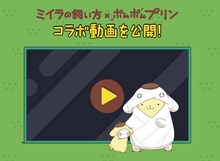 「ミイラの飼い方×ポムポムプリン」コラボ動画