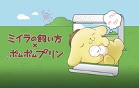 「ミイラの飼い方×ポムポムプリン」