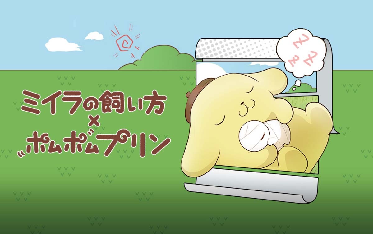 「ミイラの飼い方×ポムポムプリン」