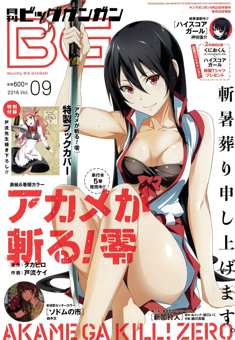 月刊ビッグガンガンVol.09